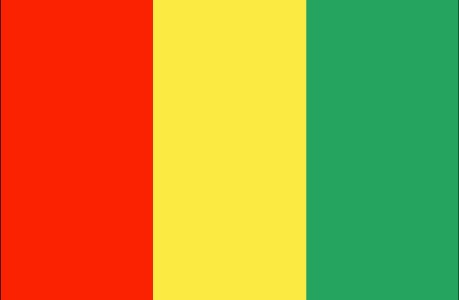 Guinea Document Legalization Authentication Services