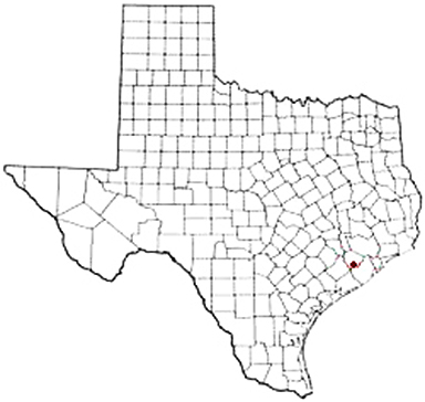 Guy Texas Apostille Document Services