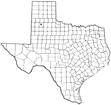Hale Center Texas Apostille Document Services