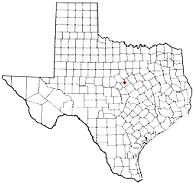 Hamilton Texas Apostille Document Services