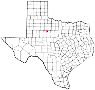 Hamlin Texas Apostille Document Services