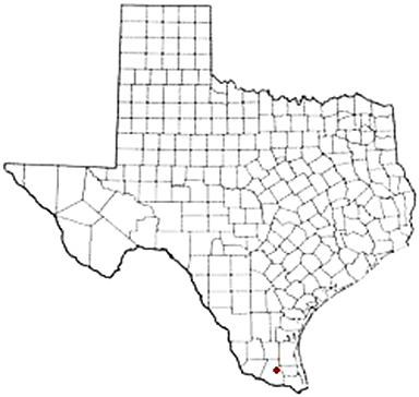 Hargill Texas Apostille Document Services