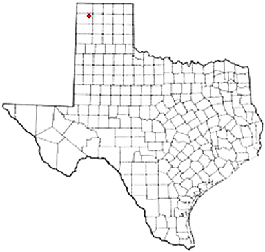 Hartley Texas Apostille Document Services