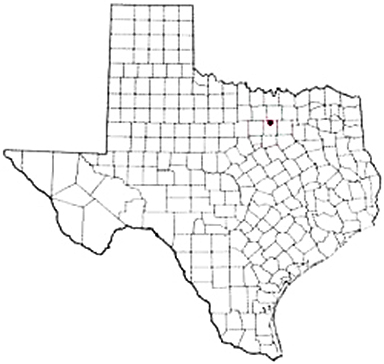 Haslet Texas Apostille Document Services
