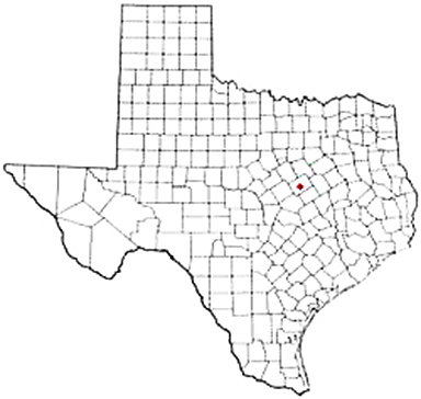Hewitt Texas Apostille Document Services