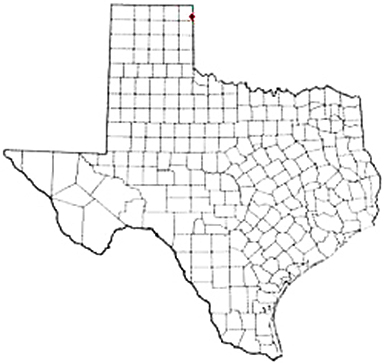 Higgins Texas Apostille Document Services