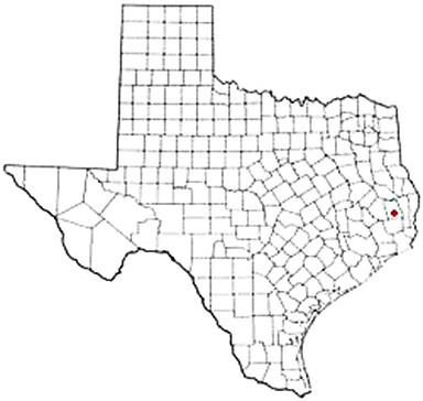 Hillister Texas Apostille Document Services