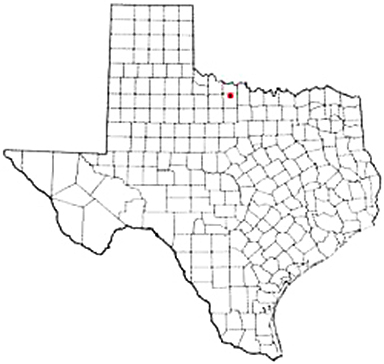 Holliday Texas Apostille Document Services