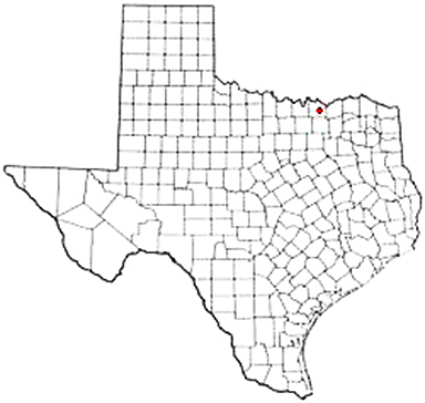 Howe Texas Apostille Document Services