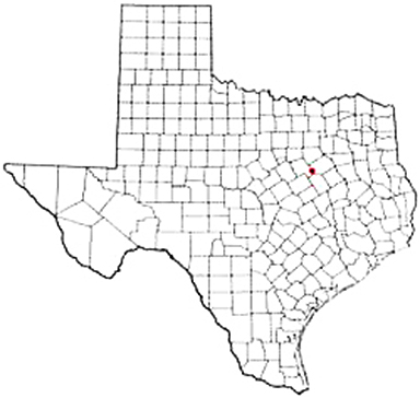 Hubbard Texas Apostille Document Services