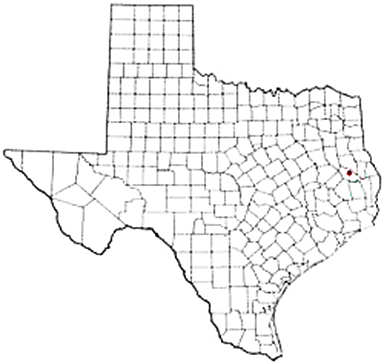 Huntington Texas Apostille Document Services