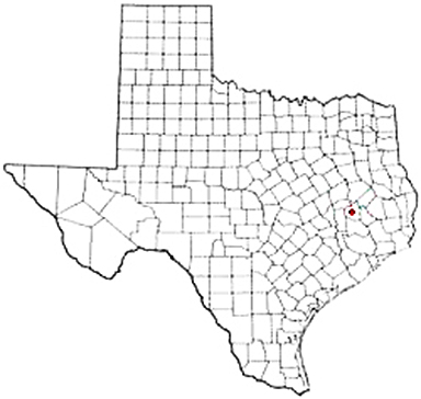 Huntsville Texas Apostille Document Services