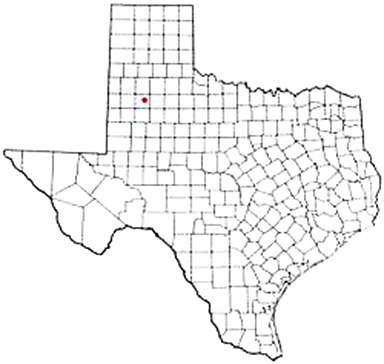 Idalou Texas Apostille Document Services