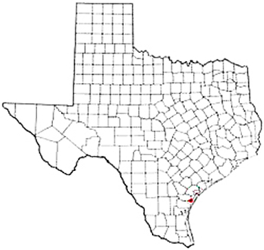 Ingleside Texas Apostille Document Services