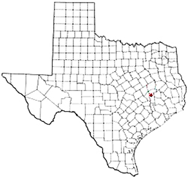 Iola Texas Apostille Document Services