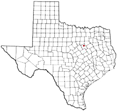 Itasca Texas Apostille Document Services