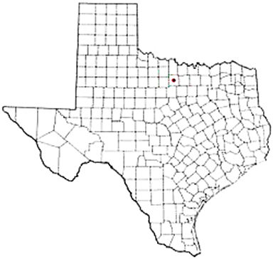 Jacksboro Texas Apostille Document Services