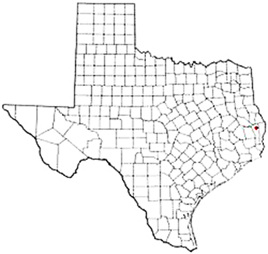 Jasper Texas Apostille Document Services