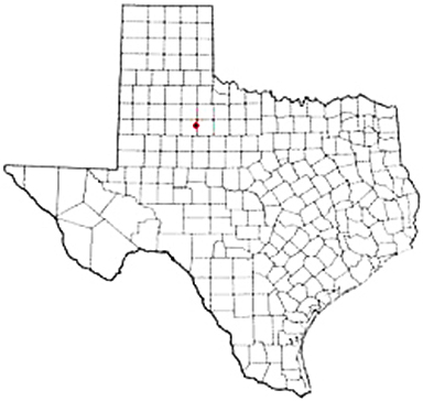 Jayton Texas Apostille Document Services