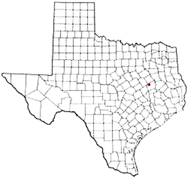 Jewett Texas Apostille Document Services