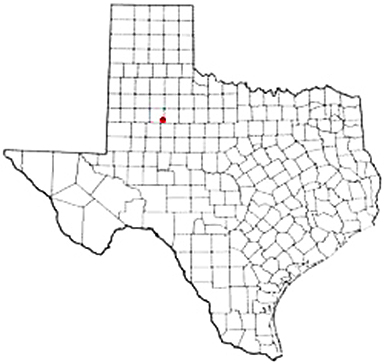 Justiceburg Texas Apostille Document Services