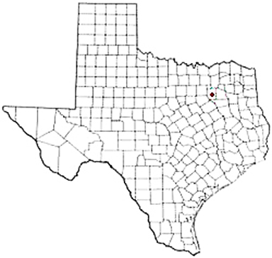 Kaufman Texas Apostille Document Services