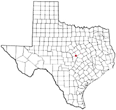 Kempner Texas Apostille Document Services
