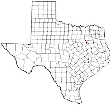 Kerens Texas Apostille Document Services