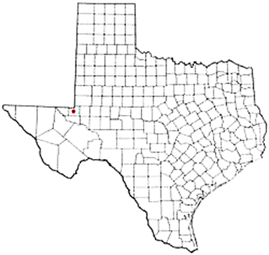 Kermit Texas Apostille Document Services