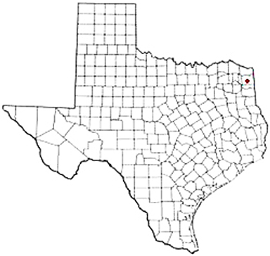 Kildare Texas Apostille Document Services