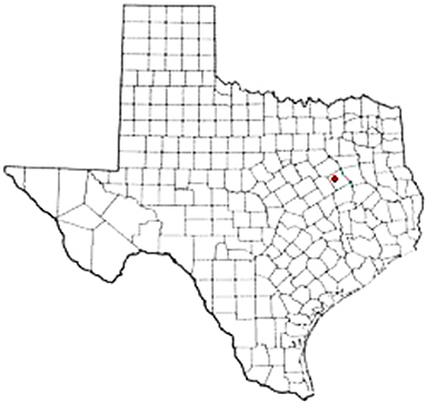 Kirvin Texas Apostille Document Services