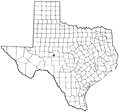 Knickerbocker Texas Apostille Document Services