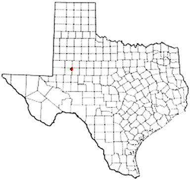 Knott Texas Apostille Document Services