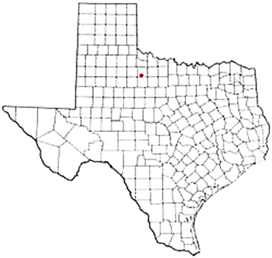 Knox City Texas Apostille Document Services