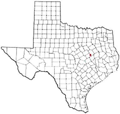 Kosse Texas Apostille Document Services