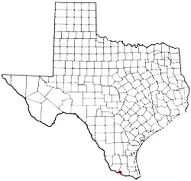 La Joya Texas Apostille Document Services