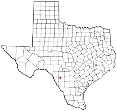 La Pryor Texas Apostille Document Services
