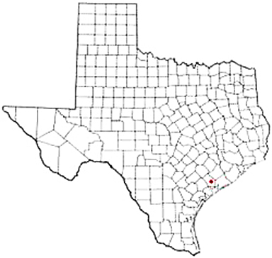 La Ward Texas Apostille Document Services