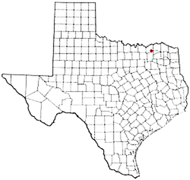 Ladonia Texas Apostille Document Services