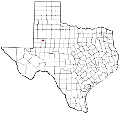 Lamesa Texas Apostille Document Services