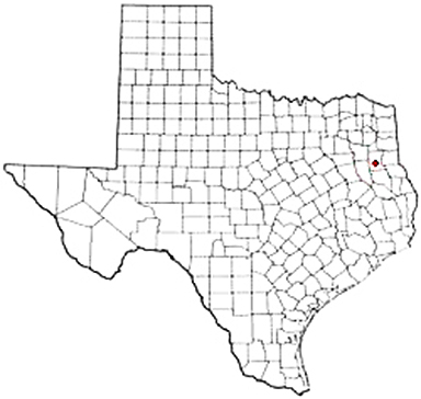 Laneville Texas Apostille Document Services