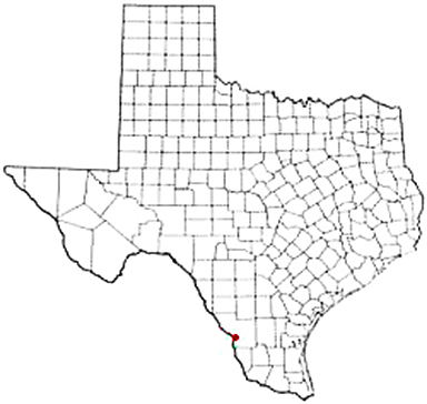 Laredo Texas Apostille Document Services