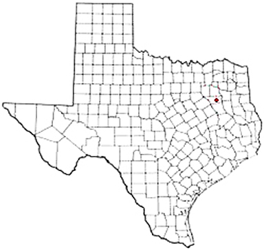 Larue Texas Apostille Document Services