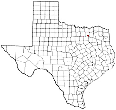 Lavon Texas Apostille Document Services