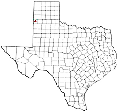 Lazbuddie Texas Apostille Document Services