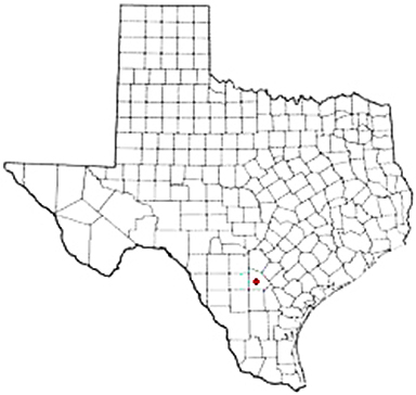 Leming Texas Apostille Document Services