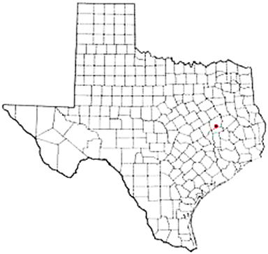 Leona Texas Apostille Document Services