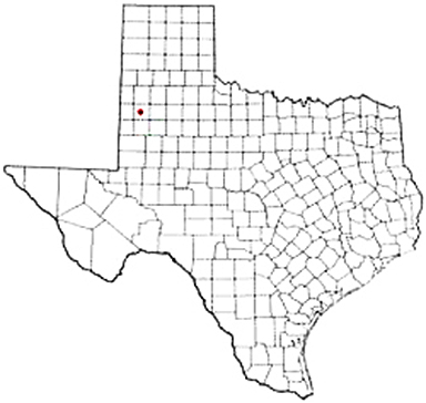 Levelland Texas Apostille Document Services