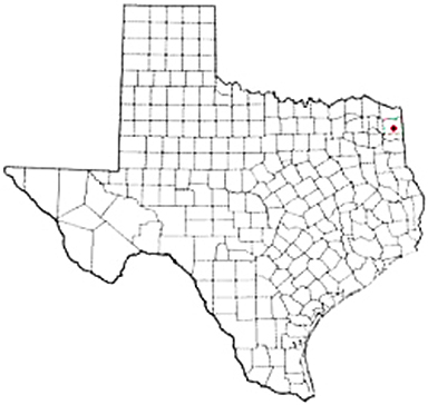 Linden Texas Apostille Document Services