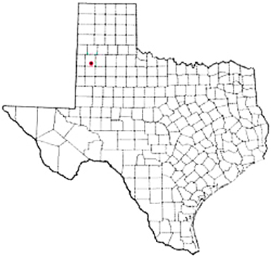 Littlefield Texas Apostille Document Services